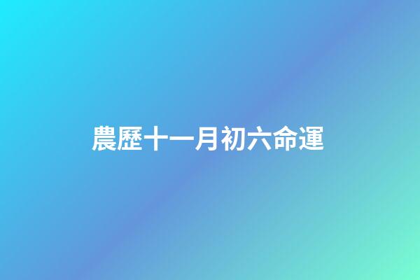 農歷十一月初六命運 (農歷十一月初六命運怎么樣)-第1張-觀點-玄機派
